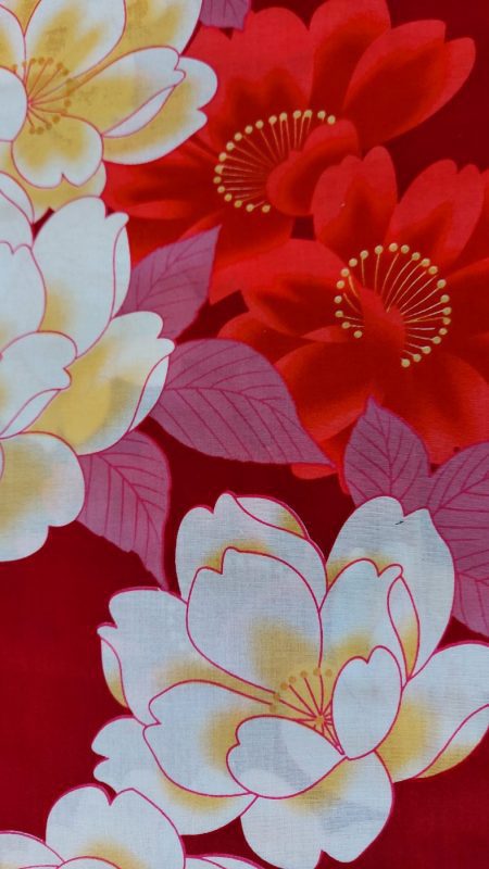 Red Yukata, Cherry blossoms with White Obi