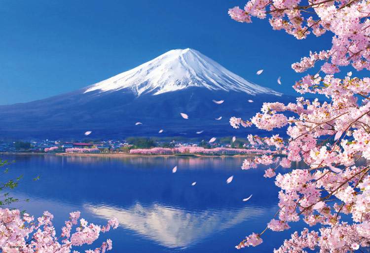 Jigsaw Puzzle-- Mt. Fuji and lake with Sakura 1000pcs